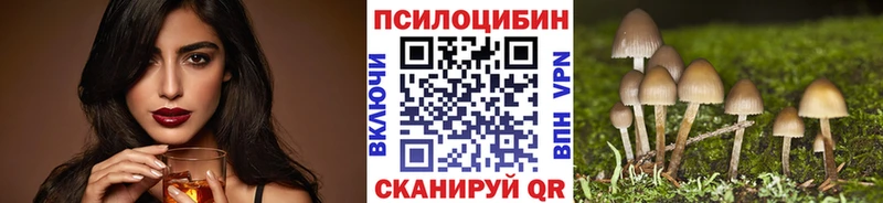 Галлюциногенные грибы Psilocybe  Купить где  Буйнакск 